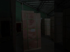 Video de la carga del contenedor